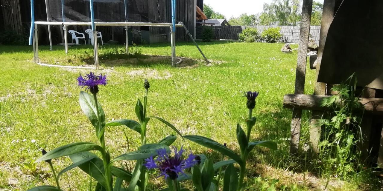 Vip-Zelten Im Garten - Camping Weischlitz Buitenkant foto